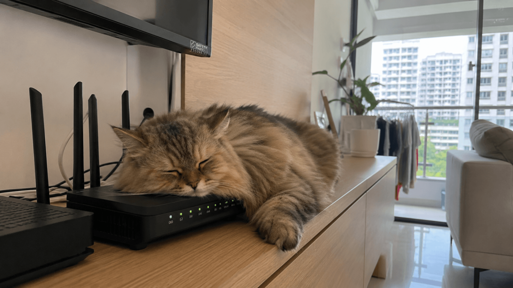 image shows cute cat sleeping on top of internet router, depicting strange reasons your Wi-Fi might not be working as expected
